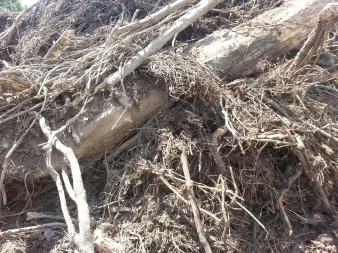 Greenwaste material